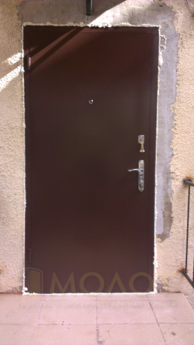 Вхідні двері для дому та квартири, модель "Страж"