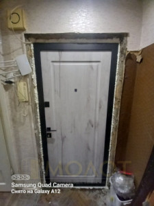 Двери входные для квартиры, модель