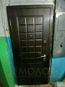 Двери входные в квартиру, модель