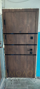 Входные двери в квартиру