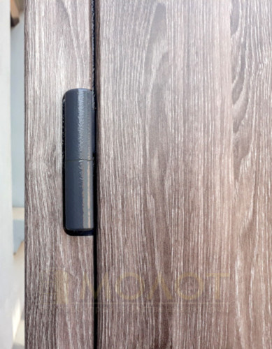 Двери входные в квартиру, модель "Дениз"